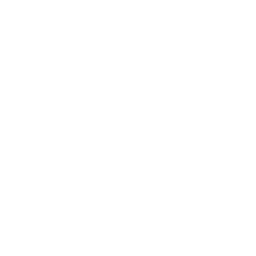 Dibelle Logo
